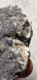 Delcampe - Ematite Minerale@ Ematite Calcite Cristalli Stahlberg Mt-Rimbach Pres Masevaux Francia - Minerales