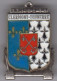 Hopital Instruction Armées Clermont Tonnerre Brest  - Insigne émaillé  FIA - Medicina