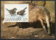 Martin Mörck. Denmark 1994. Native Animals. Michel 1086. Card. Special Cancel. - Otros & Sin Clasificación