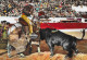 CPSM - CORRIDA DE TOROS -Une  Bonne Pique. - Toros