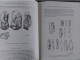 Bulletin De La Société Royale Belge D'anthropologie Et De Préhistoire N°95 - Archéologie