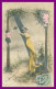 * Alphabet * Femme * Lettre N - Branche Arbre - Enfants - 1908 - Mujeres