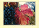 Vignes - Ambiance - Symphonie D'Automne - Raisins - CPM - Voir Scans Recto-Verso - Viñedos