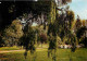 62 - Arras - Le Jardin Public - Flamme Postale - CPM - Voir Scans Recto-Verso - Arras