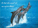 Animaux - Dauphin - Dolphin - Carte à Message - CPM - Carte Neuve - Voir Scans Recto-Verso - Dolfijnen