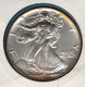 USA NUMISLETTER 1 DOLLAR 1991 American Silver Eagle Silver 0.999 Argent KM# 273 - Unclassified