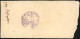 Obl. 7 - FEZ. Cachet Octogonal Violet S/lettre Avec Cachet De Cire Au Dos. 2 Lettres. TB. - Otros & Sin Clasificación