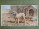 Grande Chromo Thème Animalier - Chien Devant Sa Niche - Illustration De Charles Olivier De Penne - Altri & Non Classificati