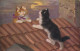 KAT  CHAT  CHATS    SAMEN OP DAK          ZIE  SCANS - Cats