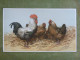 Grande Chromo Thème Animalier - Poules Et Coq - Illustration De Charles Olivier De Penne - Autres & Non Classés