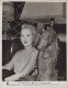 6 PHOTOS VERITABLES DE L' ACTRICE VIRGINIA MAYO (WARNER BROS PICTURES) - Beroemde Personen