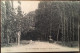 Cpa 24 Dordogne, LE BUISSON, Route De Siorac, Animée, éd O.D.P, écrite En 1907 - Otros & Sin Clasificación
