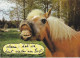 AK 210830 HORSE / PFERD - Paarden