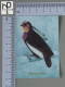 CALENDARS  - BIRDS OF PARADISE - 2024 - 2 SCANS  - (Nº58776) - Small : 2001-...