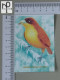 CALENDARS  - BIRDS OF PARADISE - 2024 - 2 SCANS  - (Nº58779) - Kleinformat : 2001-...