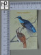 CALENDARS  - BIRDS OF PARADISE - 2024 - 2 SCANS  - (Nº58780) - Formato Piccolo : 2001-...