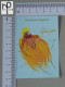 CALENDARS  - BIRDS OF PARADISE - 2024 - 2 SCANS  - (Nº58782) - Petit Format : 2001-...