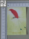 CALENDARS  - BIRDS OF PARADISE - 2024 - 2 SCANS  - (Nº58783) - Petit Format : 2001-...
