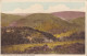 CN93. Vintage Postcard. Cloutsham Ball. Home Of The Red Deer. Exmoor. - Altri & Non Classificati