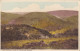 CN93. Vintage Postcard. Cloutsham Ball. Home Of The Red Deer. Exmoor. - Autres & Non Classés
