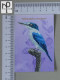 CALENDARS  - BIRDS OF PARADISE - 2024 - 2 SCANS  - (Nº58786) - Small : 2001-...