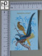 CALENDARS  - BIRDS OF PARADISE - 2024 - 2 SCANS  - (Nº58787) - Petit Format : 2001-...