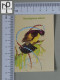 CALENDARS  - BIRDS OF PARADISE - 2024 - 2 SCANS  - (Nº58788) - Formato Piccolo : 2001-...