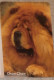 Petit Calendrier De Poche 2000 Chien Chow Chow - St Jean Calendrier - St Cyr Sur Loire Indre Et Loire - Klein Formaat: 1991-00