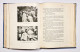 RAINHA D. AMÉLIA - Rainha E Médica -  Por Ayres De Sá( Ed. Tipographia Da Parceria A. M. Pereira - 1928) - Libros Antiguos Y De Colección