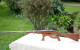 Carabine Fusil GRAS -  Rechambré Cal 16/65 SLO22GRA001 - Decorative Weapons