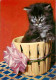 Animaux - Chats - Chatons - Dans Un Panier En Osier - CPM - Voir Scans Recto-Verso - Chats