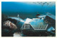 Animaux - Poissons - Aquarium De La Rochelle - Port Des Minimes - Peinture De Jean Michel Bénier - CPM - Voir Scans Rect - Fish & Shellfish