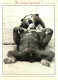 Animaux - Ours - Carte à Message Et Ou Humoristique - CPM - Voir Scans Recto-Verso - Beren