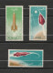 Dubai - 12 Timbres 8 Fleurs - Année 1968 -  1 Timbre Moustique De La Malaria Année 1963 - 3 Timbres Espace - Année 1964 - Dubai