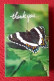 DÍPTICO TARJETA DE FELICITACIÓN CARD O SIMIL MARIPOSA BUTTERFLY PAPILLON THANK YOU WOOD WINDS USA...QUASAR..VER FOTOS.. - Unclassified