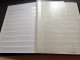 (5260+5187) 2 X Albums De Timbres Au Format A4, 32 Pages Intérieures, 10 Bandes, Fond Blanc - Formato Grande, Sfondo Bianco