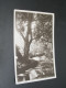 Argentina 1921 Post Card To Denmark *9423 - Sonstige & Ohne Zuordnung