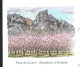 Almond Trees In Bloom. Pays De Crussol, Valence, France. Stationery Card With Football From The 1998 World Cup. - Environment & Climate Protection