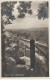 GRAZ313   --    GRAZ  --   NEUER SCHLOSSBERGSTEIG --  1928 - Graz