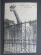 AK PARIS ZOO Tiergarten Jardin Des Plantes Giraffe 1920/// D*59107 - Autres Monuments, édifices