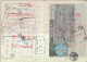 Delcampe - Passeport,passport, Pasaporte, Reisepass,Republic Of Macedonia,visas - Historical Documents