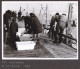 5 Photos Originales 80 SOMME - LE HOURDEL Vente De Poisson Février 1975  _PHOT208a&b - Places