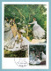 Carte Maximum 1972 - Monet - Femmes Au Jardin - YT 1703 - Paris - 1970-1979