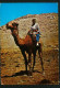 IRAN POSTCARD VF USED  See 2 Scan - Irán