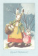 Postal Stationery - Rabbit Walking With Little Bunny - Red Cross 2008 - Suomi Finland - Postage Paid - Postal Stationery
