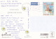 Postal Stationery - Bunny - Hare Picking Flowers - Red Cross 2020 - Suomi Finland - Postage Paid - Postwaardestukken