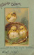 PC42925 Frohliche Ostern. Serie 5783. 1906. B. Hopkins - Monde