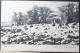 Argentina Santa Cruz Patagonia Village Scene Old PPC Pre 1905 - Argentine