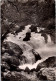 29-3-2024 (4 Y 21) France - Posted 1953 - Fontaine De Vaucluse (rivière Et Arvbres) B/w - Bomen