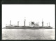 AK Handelsschiff S.S. Limburg, N. V. Nedlloyd Lijnen  - Commercio